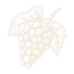 Grape cluster icon
